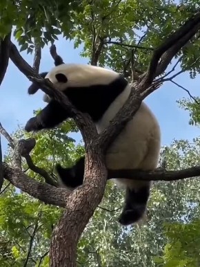 16 ����� � ���� �����. � ���� �������� �� ��� ����� ���� �����-����� �����, ������� �� �������� ������, ������� �������� � �� ������ ��� ������ �������