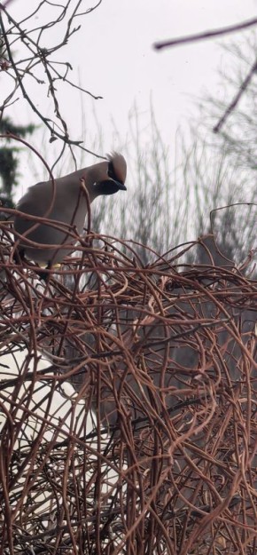 ���������� ����������. �� ���� ������� ���������� �� ���� � � ���