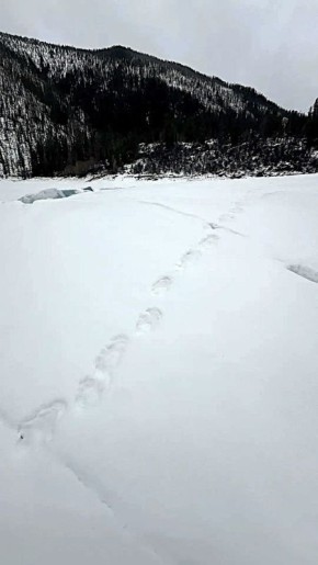 � ������� ����� ������ ������ ���������� �������