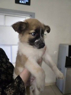 �����! ����� ������ � ����� ���