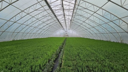 ��� �������������� ����� � ���� ���� �������� 30 ��� �������� ������� ����� � �������� � �������� �������� ��������