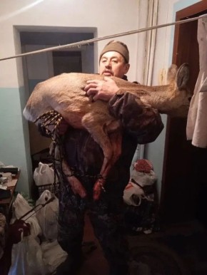 ������-����������, ����������� � ���� ������������ ����������, ��������� � ������