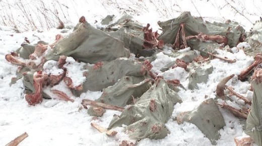 ����������� �������������� �������� � ������������� ������ ������ ������� �����������