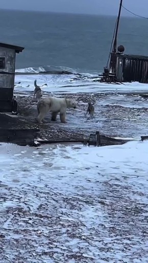 ���������� �� ���� ��������� � ������ �� ���� �������� � ������ � ������