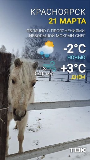 ������ �� 21 �����. ����� -2, ���� +3 ������ ��� ����� � � MAX