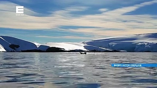 Школьник из Боготола побывал в Антарктиде