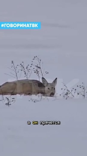 ������, ����� ��������� � �� �����