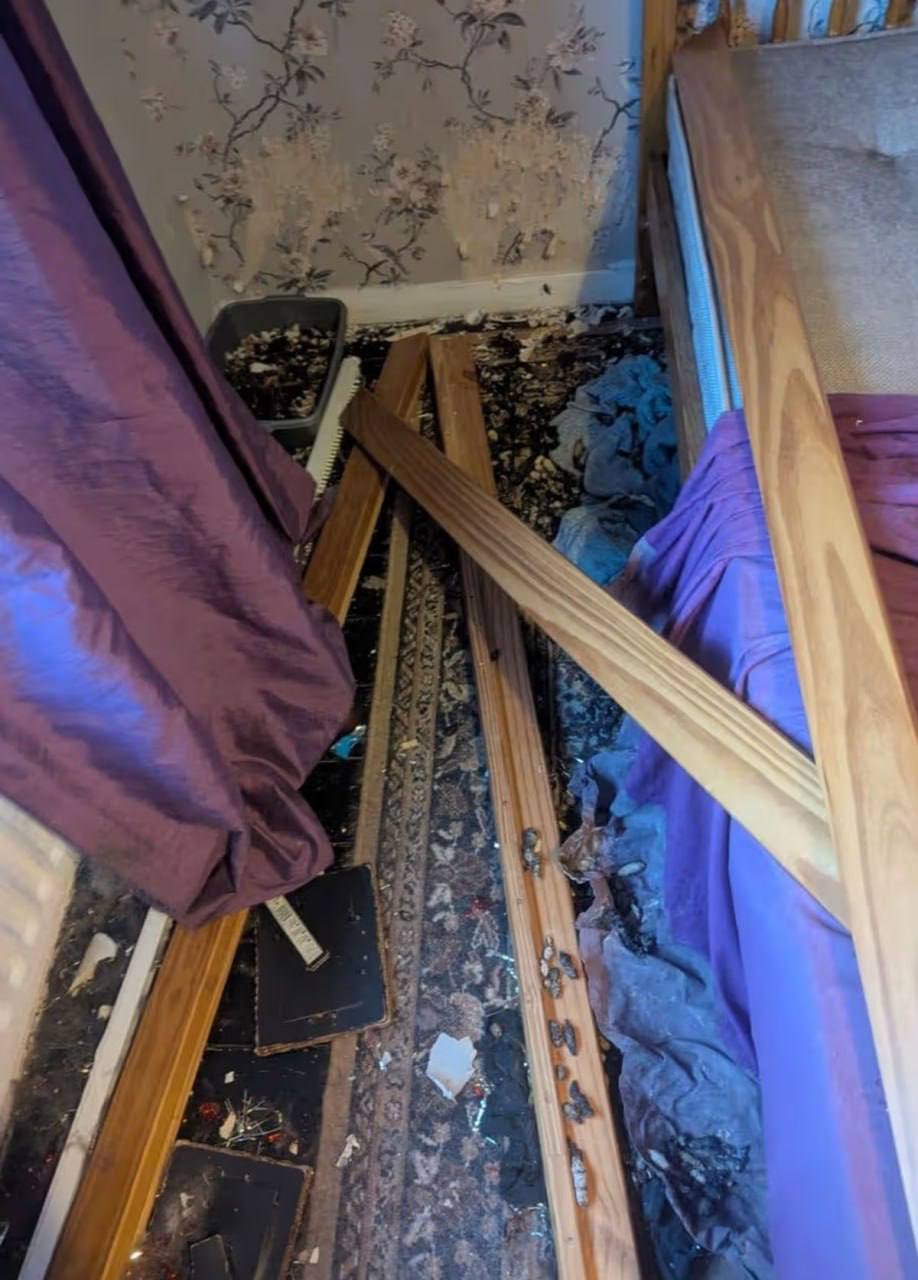 В Англии 54-летнюю женщину признали виновной в жестоком обращении с животными В Англии 54-летнюю женщину признали виновной в жестоком обращении с животными