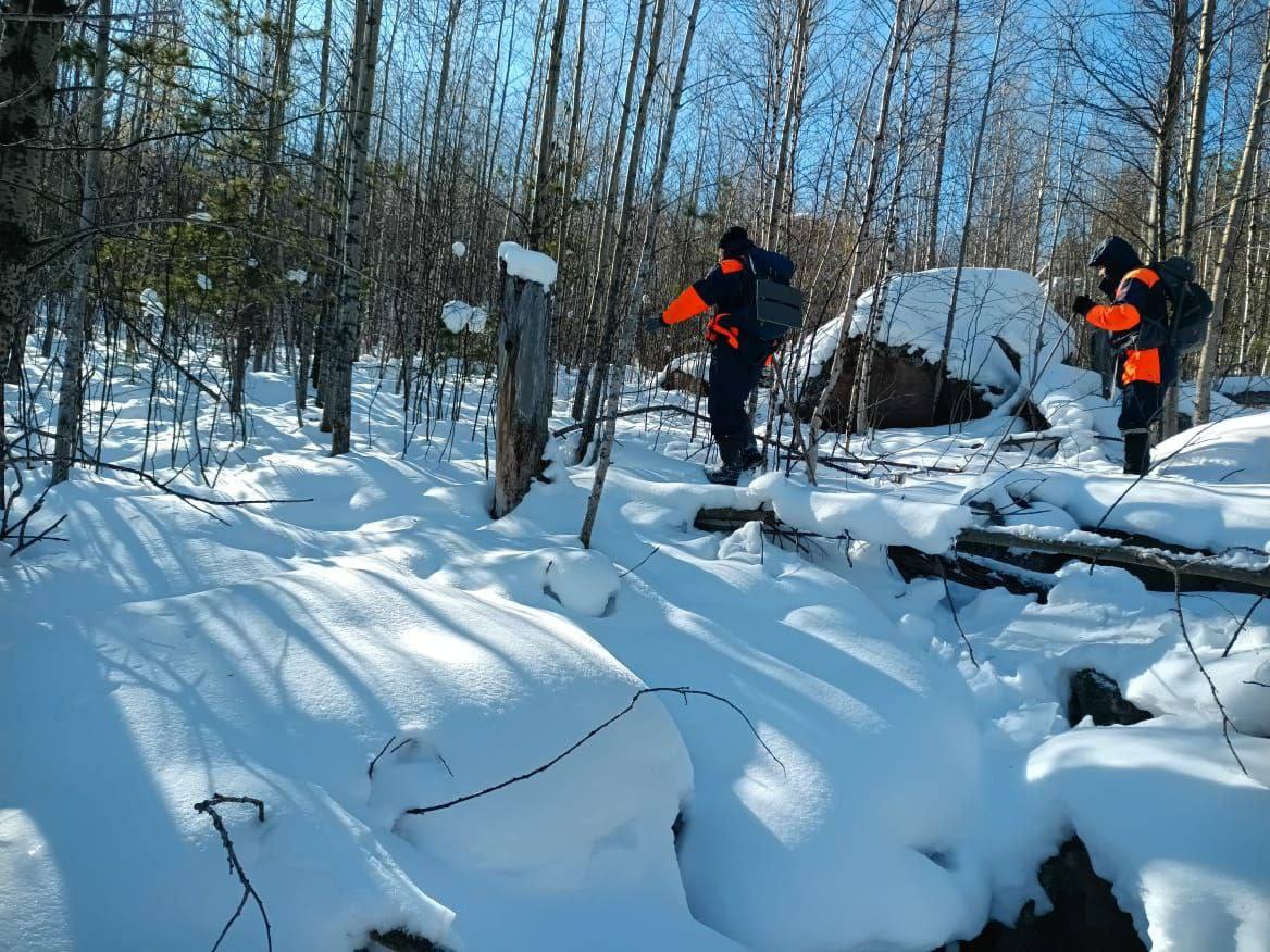 Пропавшую семью Усольцевых вновь будут искать в лесах края