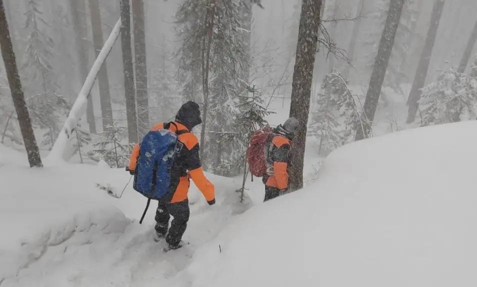 Глава СК затребовал доклады о безвести пропавших жителях края