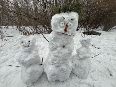 � ����������� � ���� � ������ ����