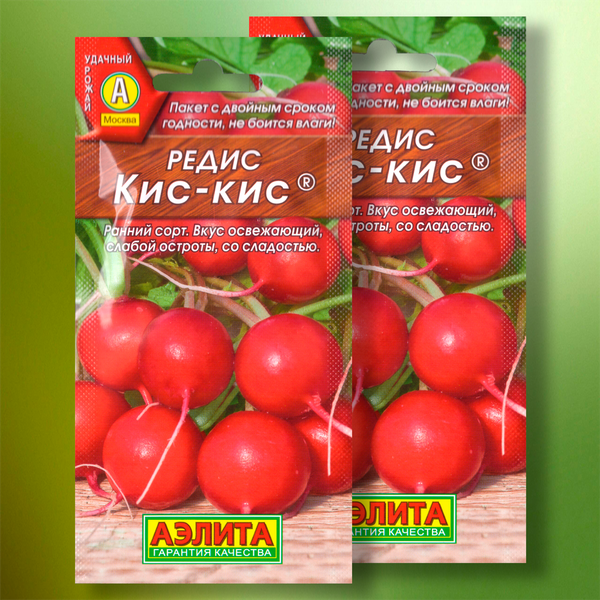 Редис «Кис-Кис»: хрустящие шарики, которые покорят ваши грядки