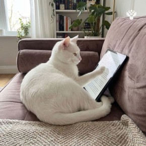 ������, ������!. � �� ������� ���� 2016 ���? � ����� ��� �� �������� �� ����, �� ����� ������� ��������� � ��������� ��� ���