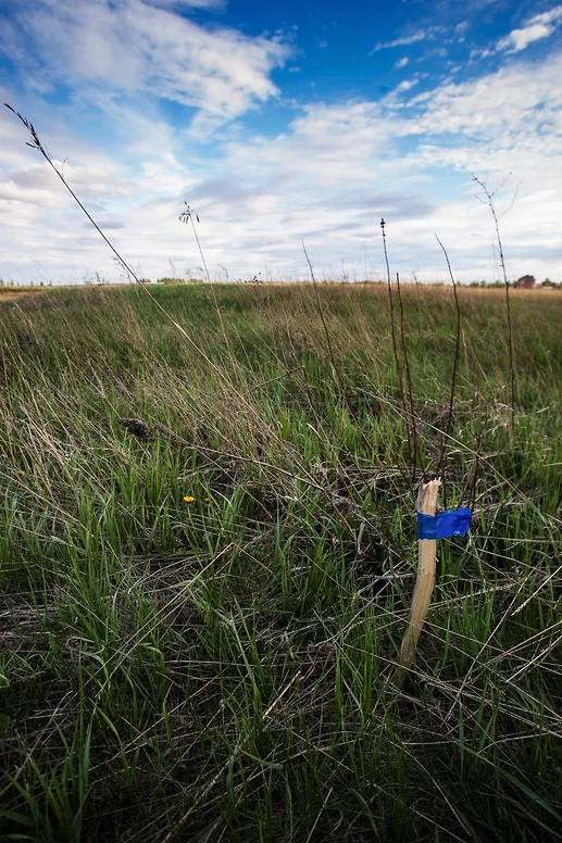 В Самарской области суд обязал вернуть муниципалитету 14 тысяч га, размежеванных на 37 участков
