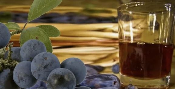 Терн для настойки: секреты сбора и приготовления вкусных настоек