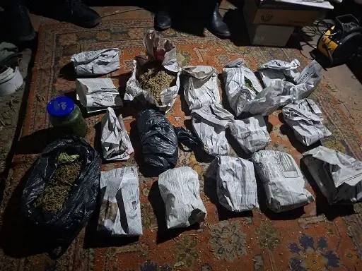 В Минусинском округе оперативники изъяли из незаконного оборота около полутора килограммов марихуаны