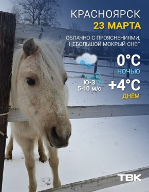 ������ �� 23 �����. ���� +4