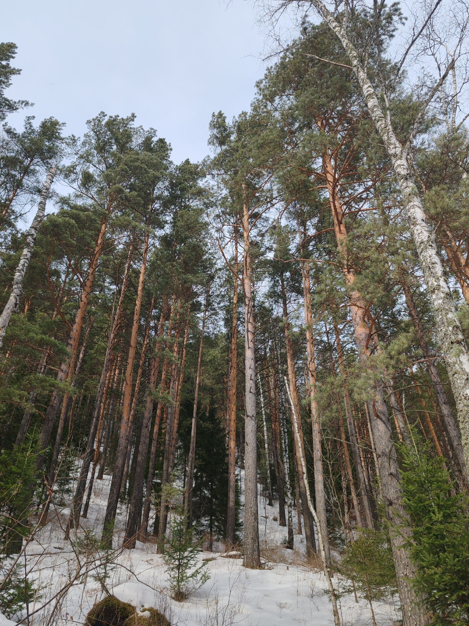 Доброе утро!