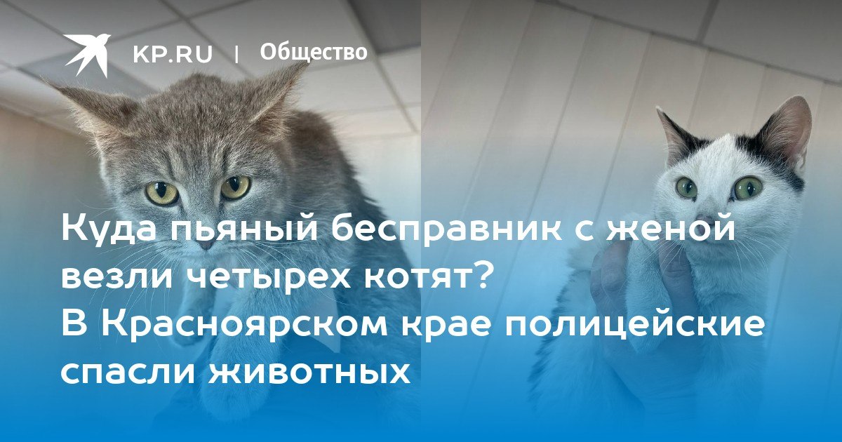 Наряд ДПС остановил автомобиль, водитель которого куда-то явно торопился Наряд ДПС остановил автомобиль, водитель которого куда-то явно торопился