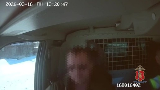 ����������� ������ �������� �����, ��������� � ������ ������� �����������