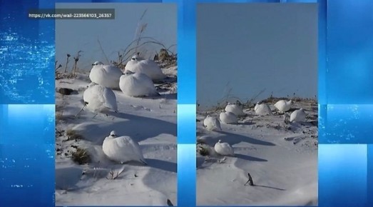 � �������� ����������� ��������� ������ ����� ���������