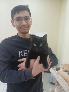 ���������� ������� ��������� ����� �� ������ ����� ������ ������