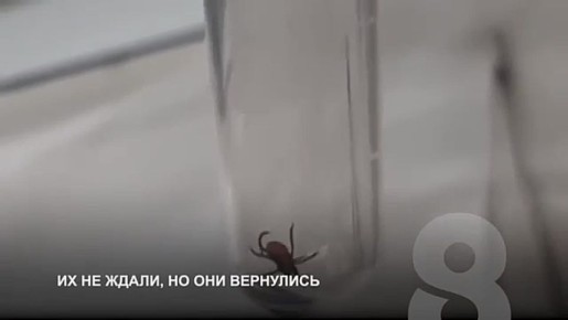 ������� �� ���������. ������� ����� �� 960-� ��������� ������ �-255 �������� � ��������� ������ ��������� ����������� ���