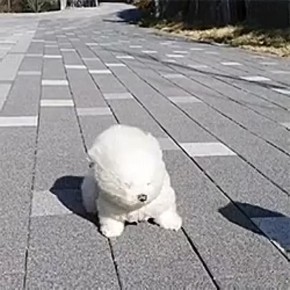 �������� ������: ������ ����� ������� � ���!