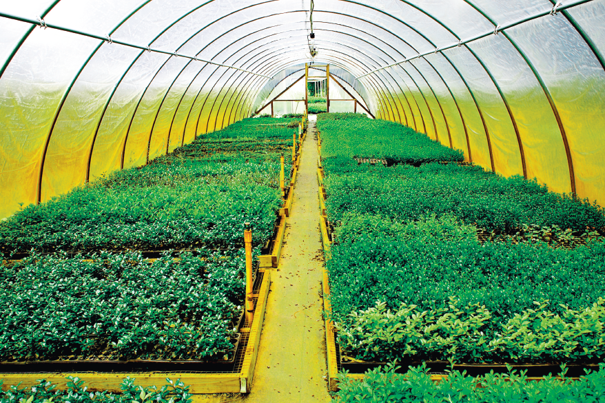 Как получить богатый урожай в августе: советы по агрономии в апреле