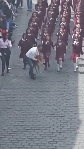 ������ ����!. ������ ������������� ��� � ����� �� ������������ �� ����� �����, ��� � ����� ��� �� �����