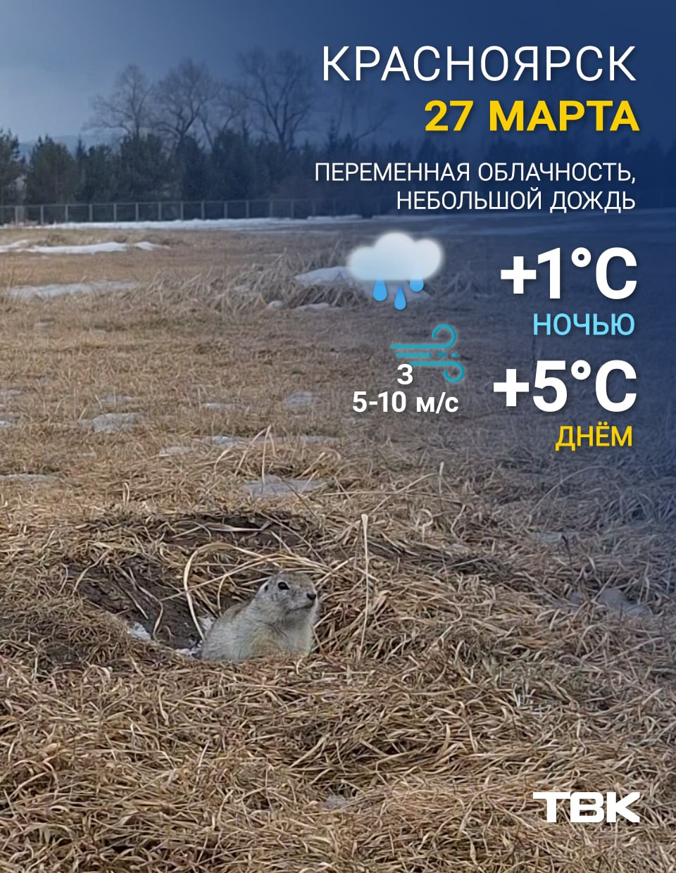 Сегодня +5. Читать нас можно и в MAX