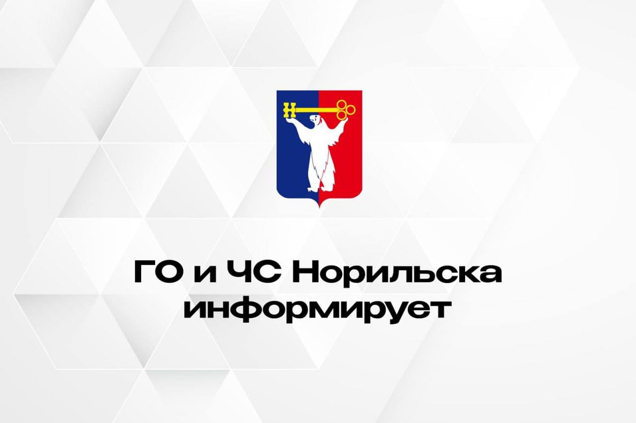 28 марта на юге Таймыра ожидается сильный и очень сильный южный ветер, порывы 15 – 20 м/с, местами 25 м/с и более, метель