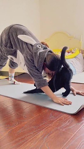 Доброе утро!. Сразу видно, кто в этой паре настоящий мастер растяжки А как ваши питомцы «помогают» вам собираться на работу? Кидайте фото своих пушистых помощников в комментарии! Видео: Смешные животные «7 канал...