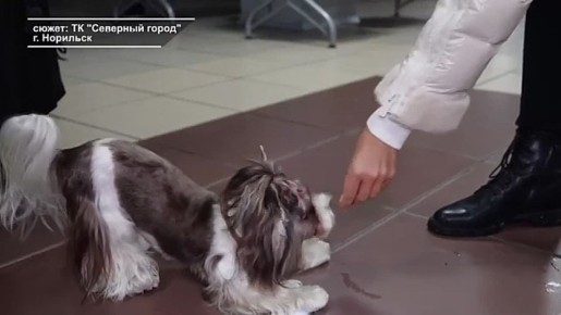 �٨ ���� ������ ���������. � ��������� ������������� ��� ���� ������ ���������