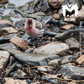 ������ ����� ��� ��������� ������ ���� ���� � ��������