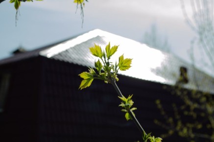 ������ ������ ���������� �������� �� ��������� �������