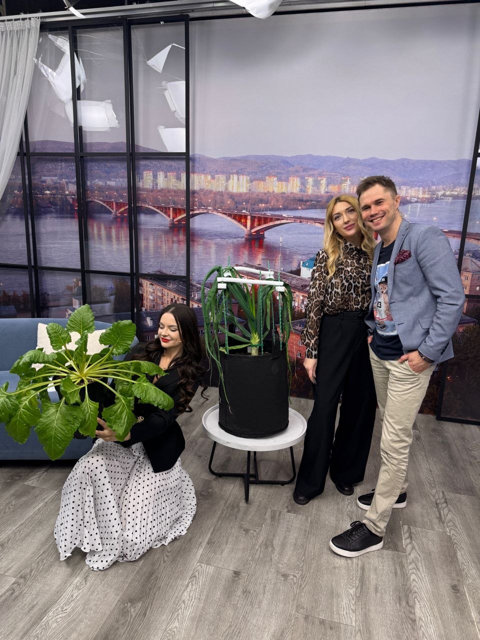 Мечтаете о трёхкилограммовом помидоре или огромной дыне? Мечтаете о трёхкилограммовом помидоре или огромной дыне?