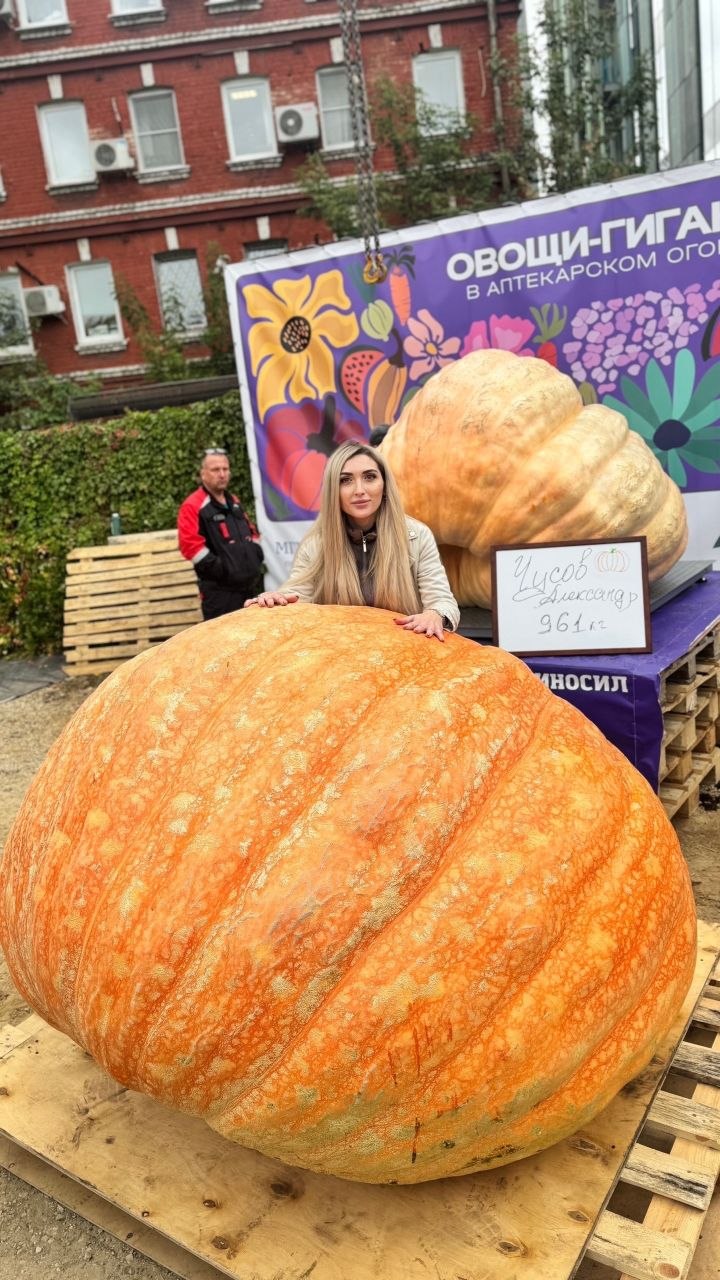 Мечтаете о трёхкилограммовом помидоре или огромной дыне? Мечтаете о трёхкилограммовом помидоре или огромной дыне?