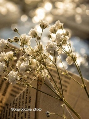 �������� ����. ����: ����� �������� ������ ��� ����� � � MAX