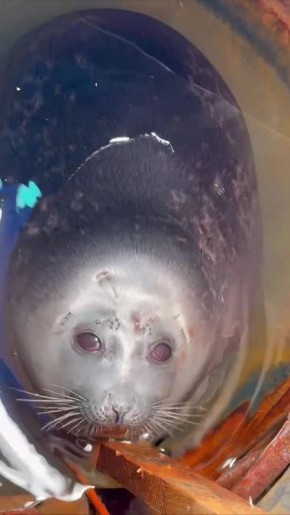 ������ � �������� ����� ������?