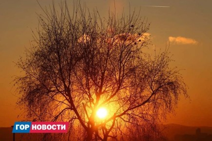 ������� Gornovosti ������: ������������� ������