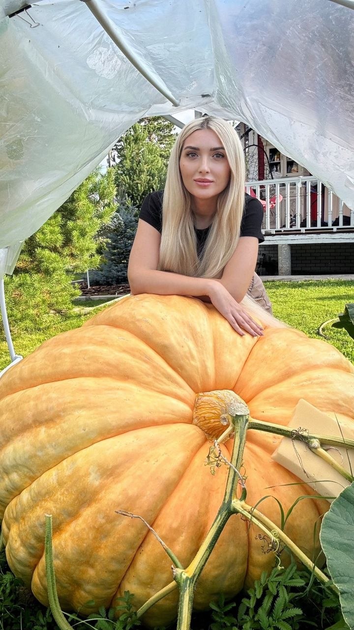 Мечтаете о трёхкилограммовом помидоре или огромной дыне? Мечтаете о трёхкилограммовом помидоре или огромной дыне?