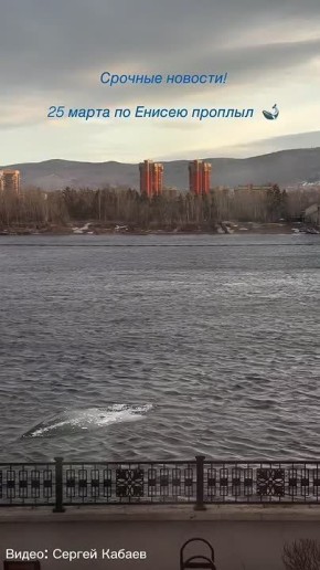 ��� ������� �� ������ � �����������