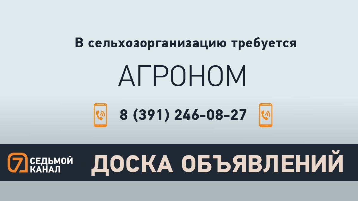 «7 канал Красноярск»: На сайте | в MAX | ВКонтакте | Дзен | Одноклассники