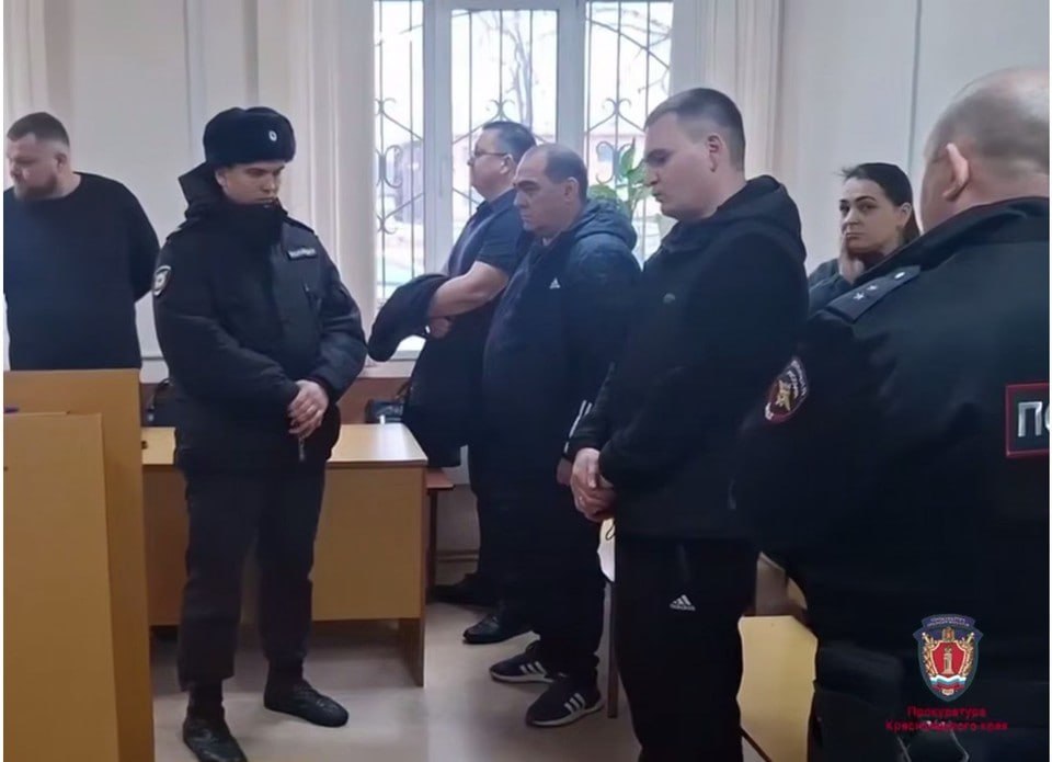 В Красноярском крае отца и сына осудили за незаконную рубку леса