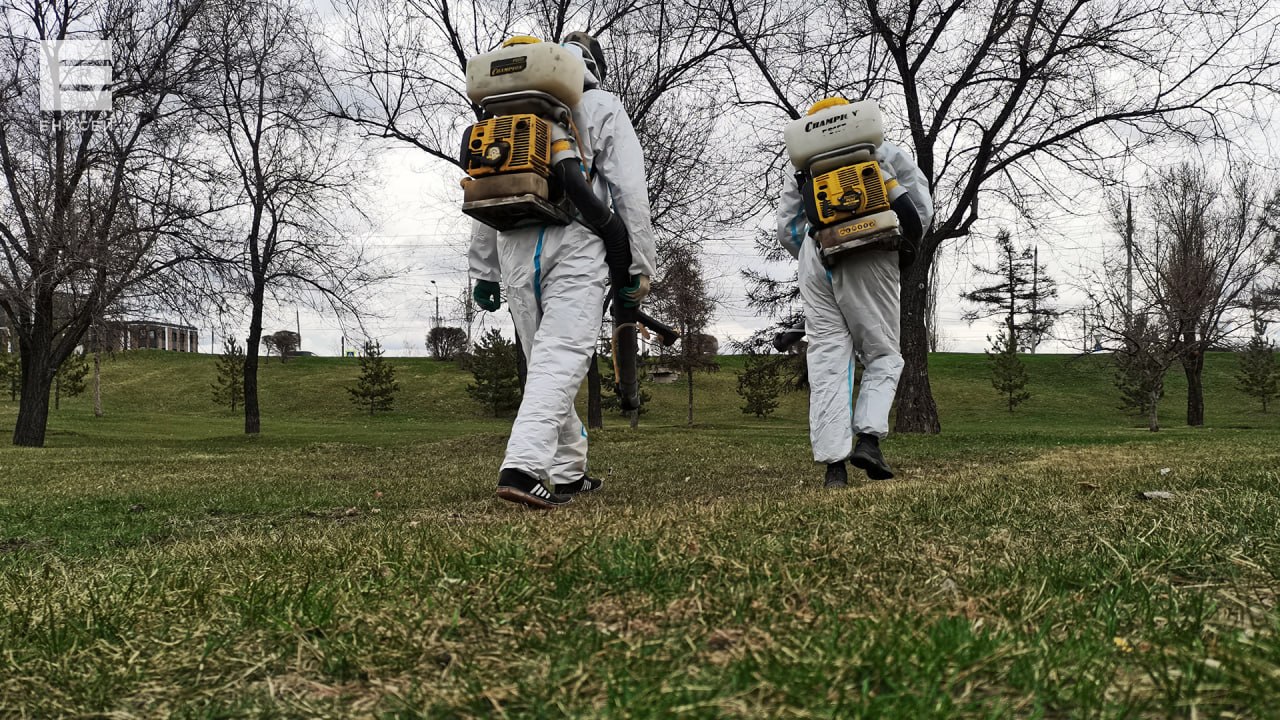 В Красноярске обработают от клещей 606 гектаров земли