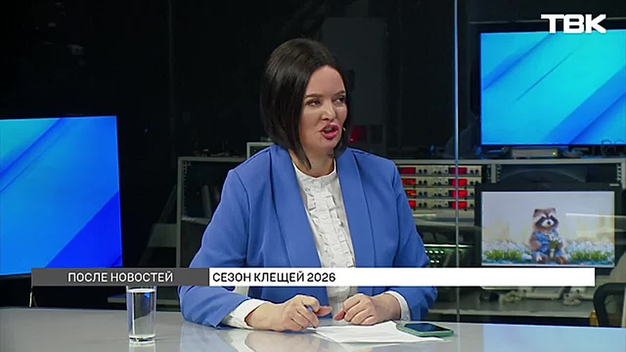 Топ-3 грубые ошибки при удалении клеща: инструкция от эксперта