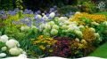 Как создать потрясающий цветник: секреты для начинающих
