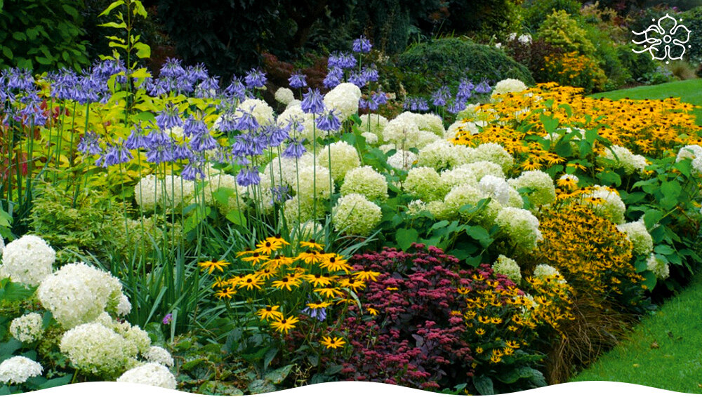 Как создать потрясающий цветник: секреты для начинающих