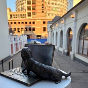 � ����������� � ���������� � ��������� ��������� ��������